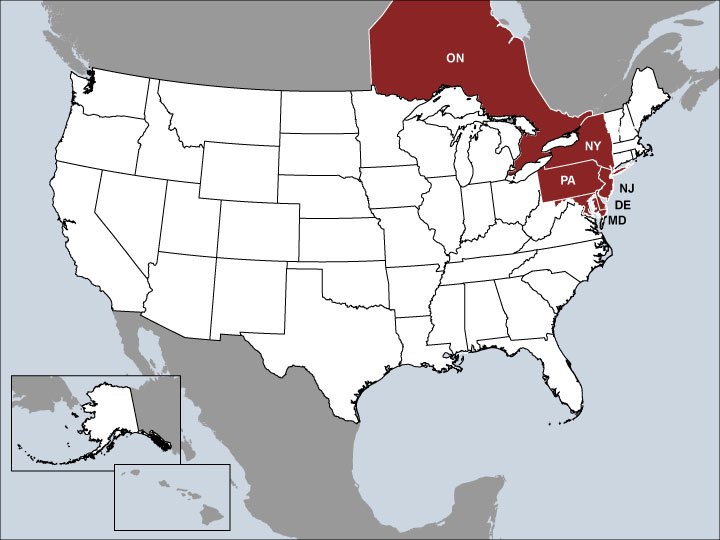 John McCall Sales Map