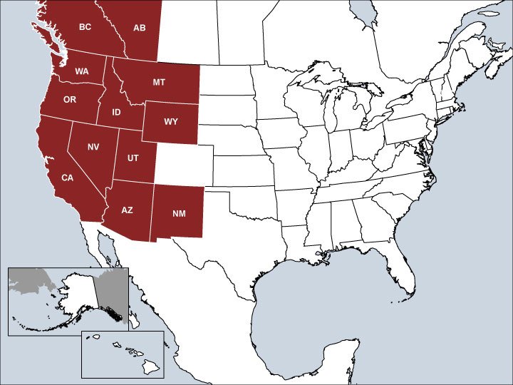 Jason Mizner Sales Map