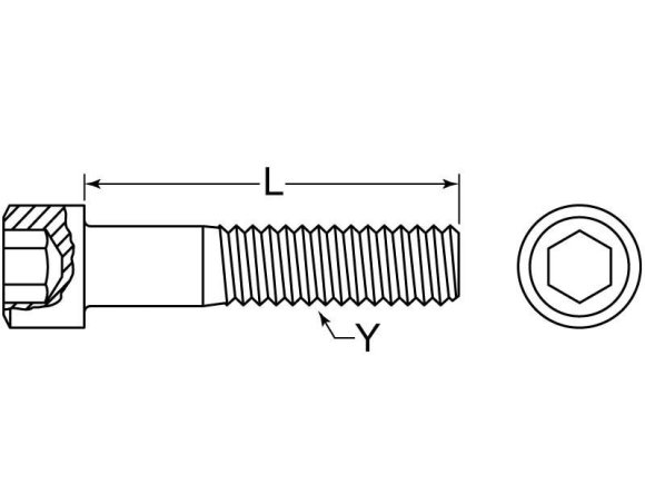 Metric Cap Screw M8 X 125 X 50 