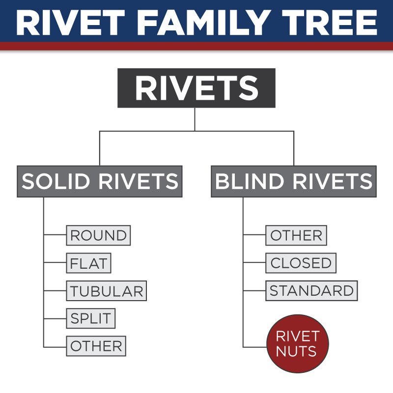 Rivet Family Tree Graphic