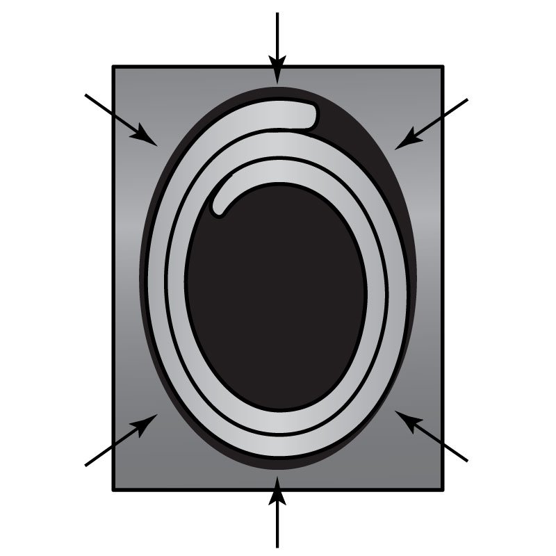 Spring Force Blog Image