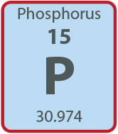Phosphorus Tile