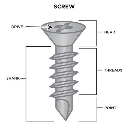Screw Anatomy Labeled