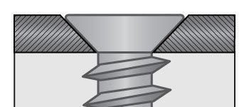 Standard Head Type Blog Image