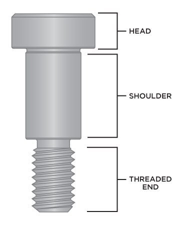 Shoulder Bolt Anatomy Blog Image